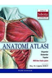 Anatomi Atlası Ünlü Sobotta Çizimleri
