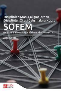 Disiplinler Arası Çalışmalardan Disiplinler Ötesi Çalışmalara Köprü: Sofem