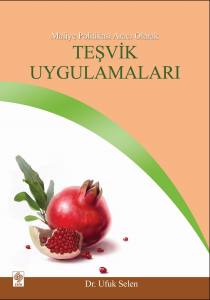 Maliye Politikası Aracı Olarak Teşvik Uygulamaları