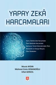 Yapay Zeka Harcamaları Murat Aydın