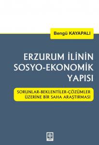 Erzurum İlinin Sosyo-Ekonomik Yapısı: Sorunlar-Beklentiler-Çözümler Üzerine Bir Saha Araştırması