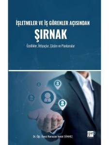 İşletmeler Ve İş Görenler Açısından Şırnak - Özellikler, İhtiyaçlar, Çözüm Ve Planlamalar