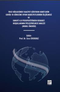 Trc2 Bölgesinde Faaliyet Gösteren Kobi’lerin Covid-19 Sürecine Uyum Kabiliyetlerinin Ölçülmesi Ve Sanayi 4.0 Perspektifinden Rekabet Koşullarının İyileştirilmesi Analizi
(Model Önerisi)